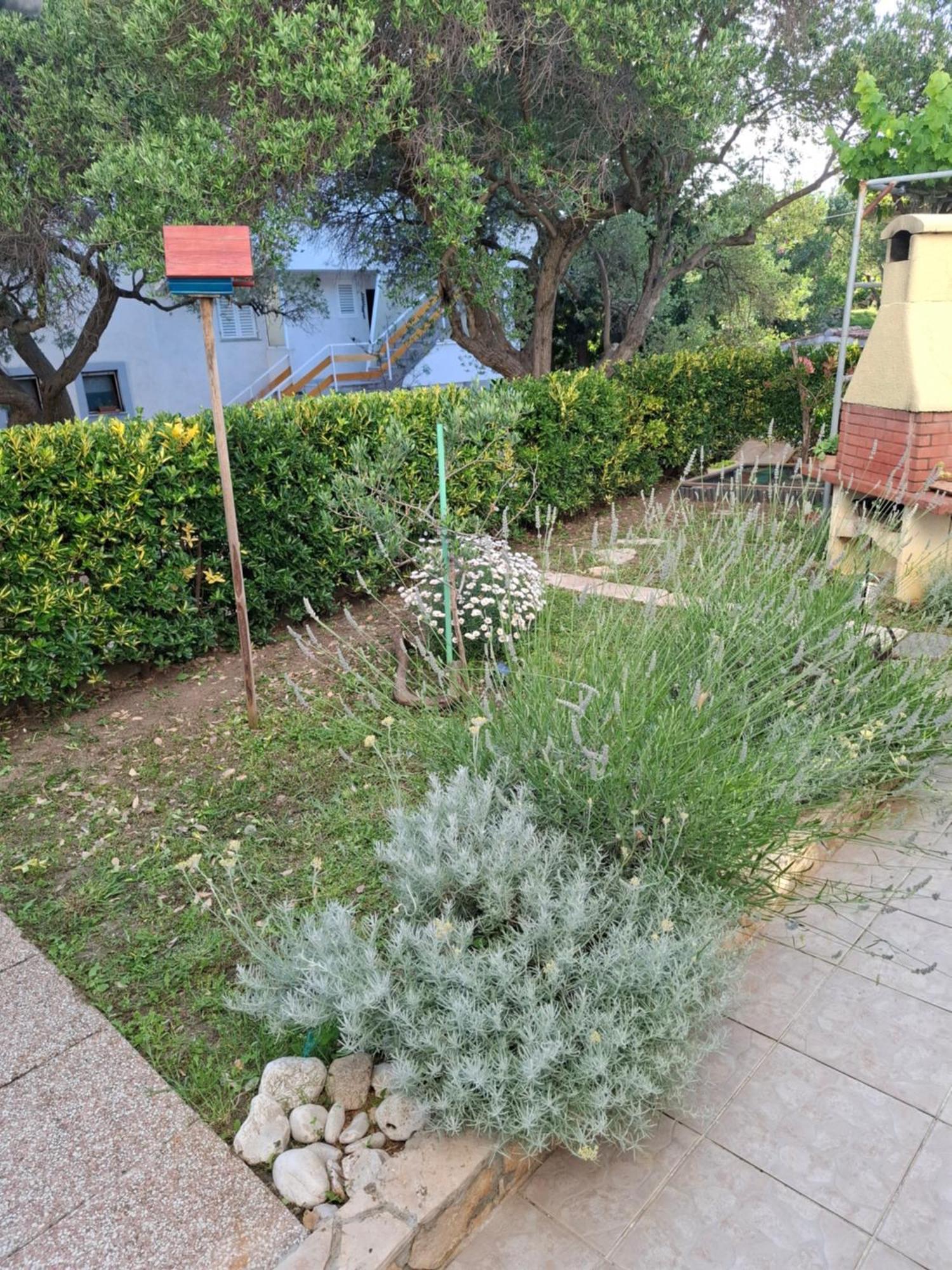 BanjolLittle House Kucica别墅 外观 照片